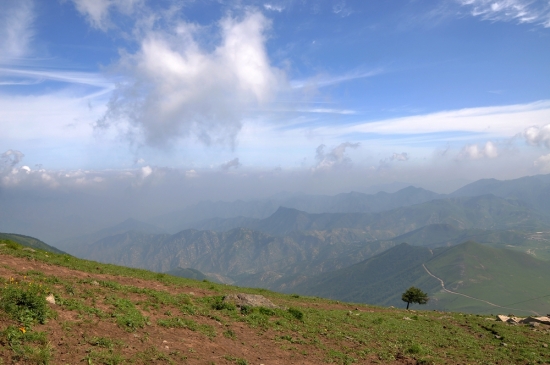 ������ɽ���-��������