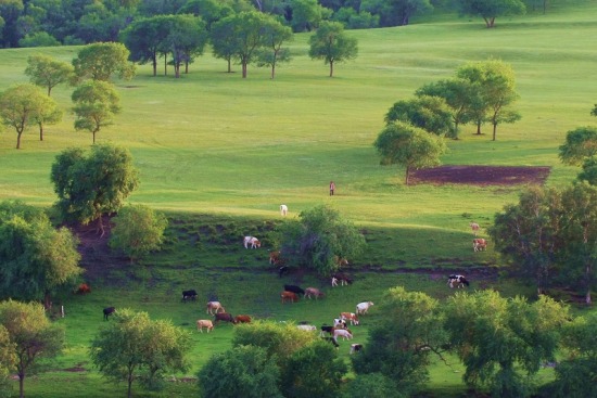 ������ͳ��<span class=lxw>[ע: �ſ� ������ͳ��ش���ʲ���������ϲ���ȫ�������1000ƽ��������˿�2976�ˣ���һ��������ҵΪ������ҵ�����򡣽�������]</span>-����-��������