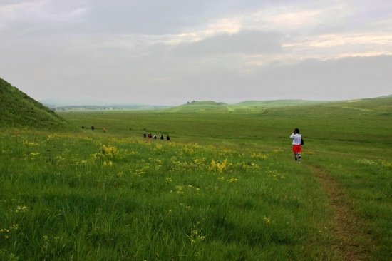 ������ͳ��-����-��������