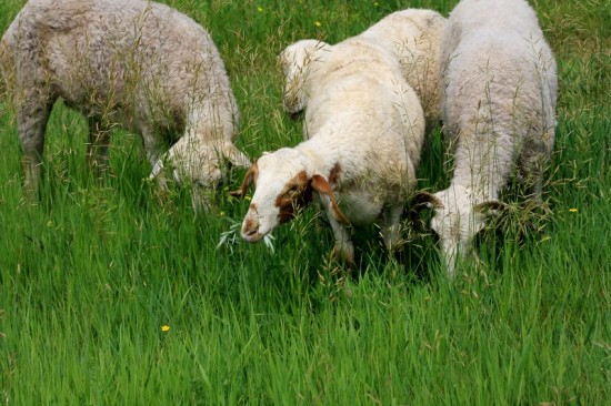 ������ͳ��-����-��������