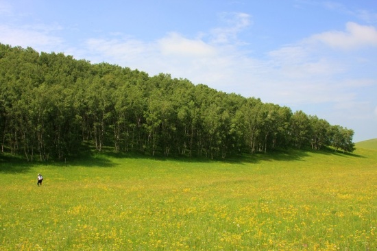 ������ͳ��-����-��������