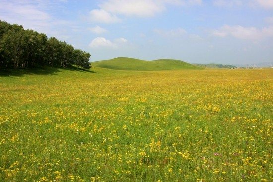 ������ͳ��-����-��������