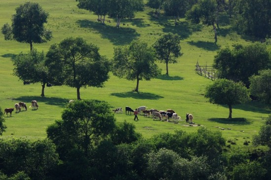 ������ͳ��-����-��������