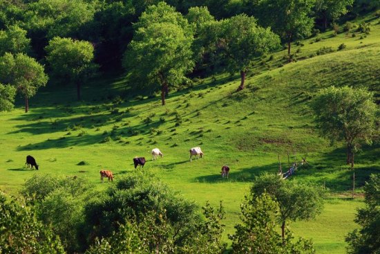 ������ͳ��-����-��������