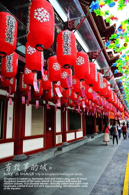 �л����������-������Ӱ