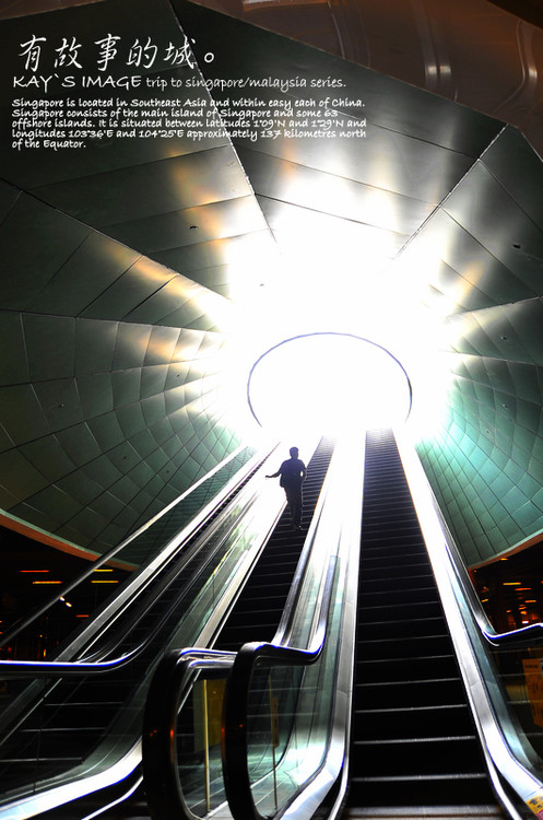 �л����������-������Ӱ