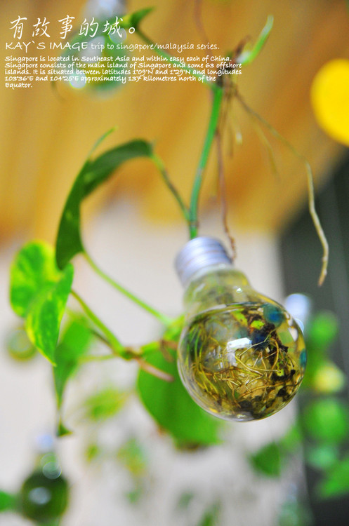 �л����������-������Ӱ