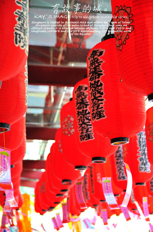 �л����������-������Ӱ