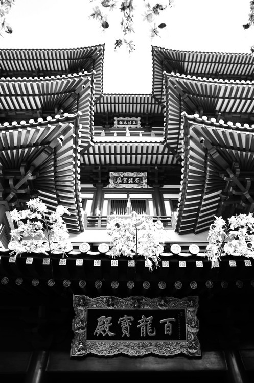 �л����������-������Ӱ