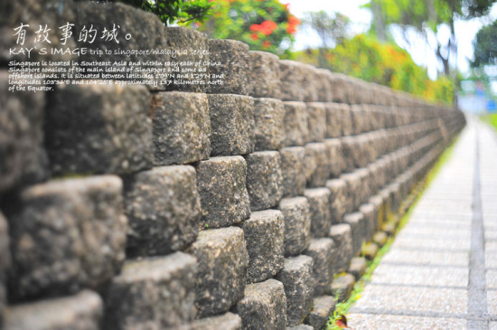 �л����������-������Ӱ