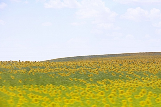 ���˵Ļ���-��Ȼ�羰