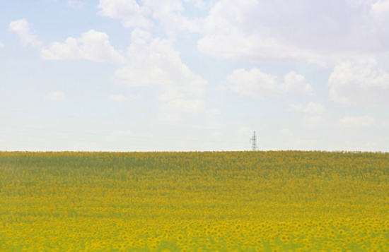 ���˵Ļ���-��Ȼ�羰