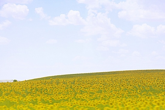 ���˵Ļ���-��Ȼ�羰