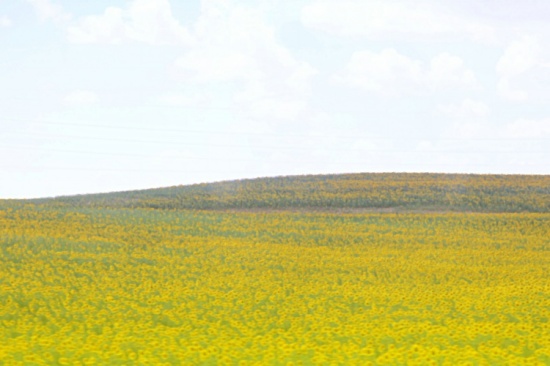 ���˵Ļ���-��Ȼ�羰