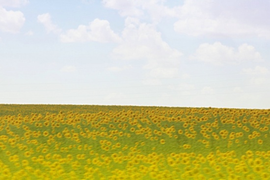 ���˵Ļ���-��Ȼ�羰