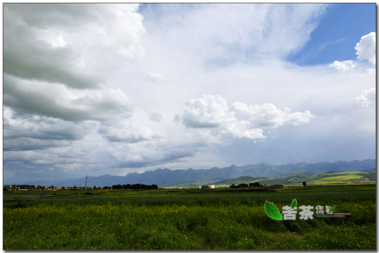 ����ɽ���Ʒ���-��Ȼ�羰