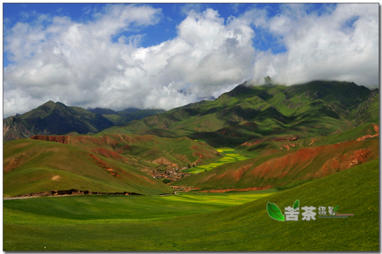 ����ɽ���Ʒ���-��Ȼ�羰