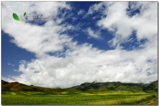 ����ɽ���Ʒ���-��Ȼ�羰