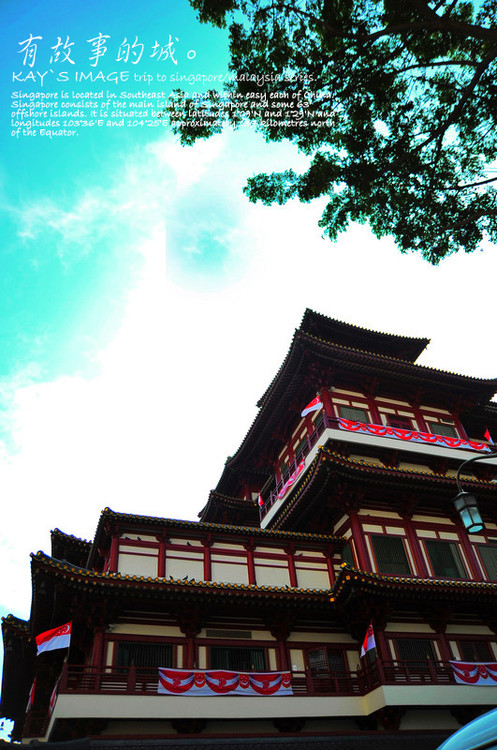 ��������С��-������Ӱ