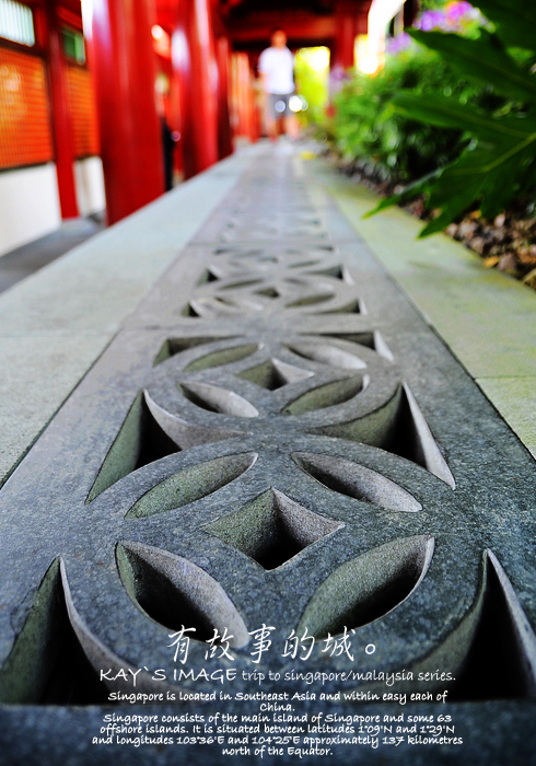 ��������С��-������Ӱ