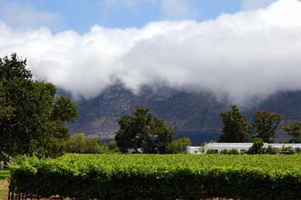 ���������µ�����԰�����Ϲ�ʵ����