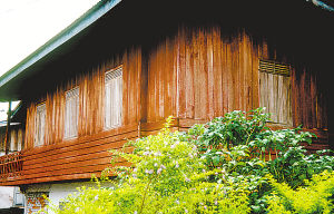 ɽ�����������