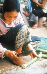 ������æµ��ɽ����