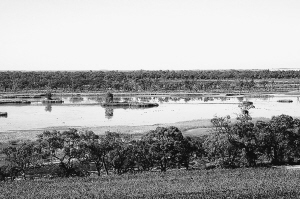 ͼΪ����˹ʪ��һƳ