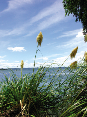 �������羰