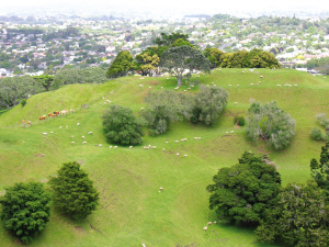 �������羰