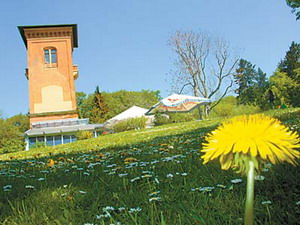 �ͷ׵�ɽ����԰