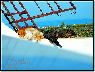 �� ��: 164037 ������
��Ӱ����: ����
�ļ���:ksscxc6c151.jpg����
�ļ���С:K����
�� X ��:304 X 400����
˵��:ksscxc6c151.jpg