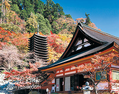 �� ��: 184762 ������
��Ӱ����: ����
�ļ���:yzblyc6c109.jpg����
�ļ���С:K����
�� X ��:315 X 400����
˵��:yzblyc6c109.jpg