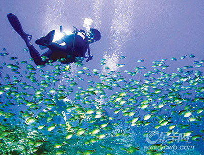 �� ��: 68137 ������
��Ӱ����: ����
�ļ���:kjjddh6a225.jpg����
�ļ���С:K����
�� X ��:303 X 400����
˵��:kjjddh6a225.jpg