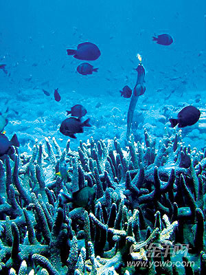 �� ��: 68162 ������
��Ӱ����: ����
�ļ���:kjjddh6a216.jpg����
�ļ���С:K����
�� X ��:400 X 300����
˵��:kjjddh6a216.jpg