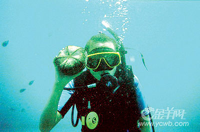 �� ��: 68152 ������
��Ӱ����: ����
�ļ���:kjjddh6a220.jpg����
�ļ���С:K����
�� X ��:265 X 400����
˵��:kjjddh6a220.jpg