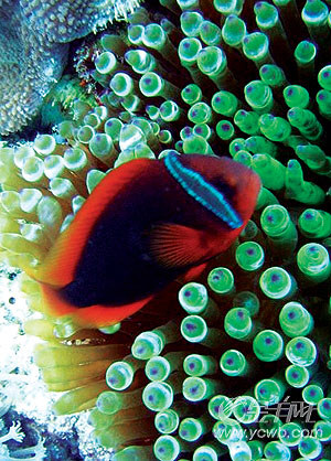 �� ��: 68127 ������
��Ӱ����: ����
�ļ���:kjjddh6a227.jpg����
�ļ���С:K����
�� X ��:418 X 300����
˵��:kjjddh6a227.jpg