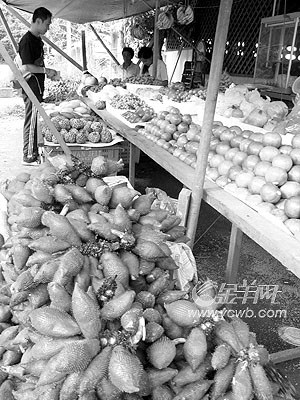 �� ��: 68172 ������
��Ӱ����: ����
�ļ���:kjjddh6a194.jpg����
�ļ���С:K����
�� X ��:400 X 300����
˵��:kjjddh6a194.jpg