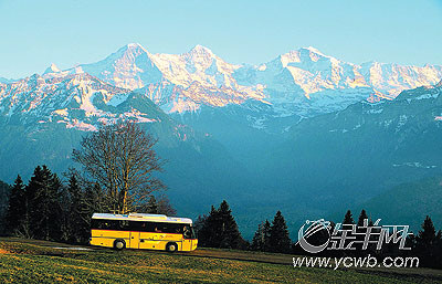 �� ��: 118592 ������
��Ӱ����: ����
�ļ���:kjjddh6b335.jpg����
�ļ���С:K����
�� X ��:257 X 400����
˵��:kjjddh6b335.jpg