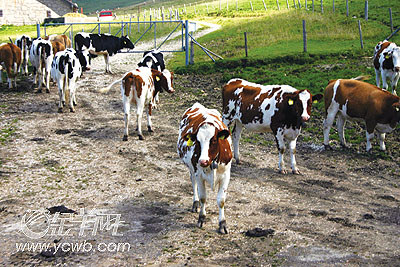 �� ��: 118617 ������
��Ӱ����: ����
�ļ���:kjjddh6b328.jpg����
�ļ���С:K����
�� X ��:267 X 400����
˵��:kjjddh6b328.jpg