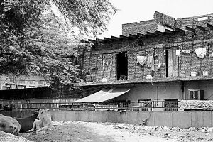 �߽�ӡ���˵���ʵ����