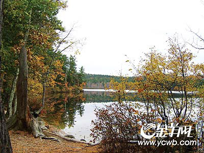 �� ��: 1727722 ������
��Ӱ����: ����
�ļ���:kjjddh5b466.jpg����
�ļ���С:66K����
�� X ��:300 X 400����
˵��:kjjddh5b466.jpg