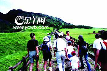 �󳤽񿴵㣺Խ����Խ�����ļ��ݵ�