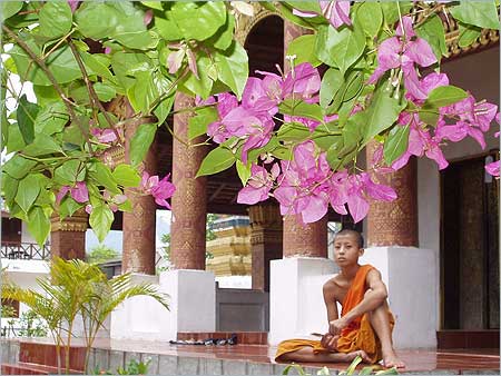 �����³�˼��С����