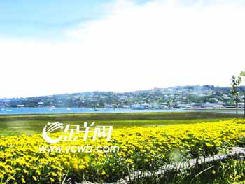 ����˹�� ������·�������뿪