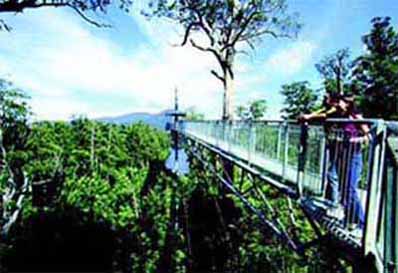 ��˹������