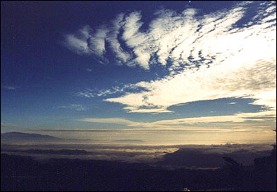 �������Ƶ��ƶ�֮��