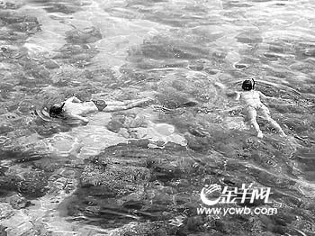 �� ��: 1152112 ������
��Ӱ����: ����
�ļ���:kms4a1e5.jpg����
�ļ���С:43K����
�� X ��:262 X 350����
˵��:kms4a1e5.jpg