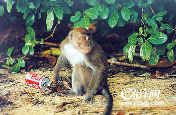 �� ��: 1152057 ������
��Ӱ����: ����
�ļ���:kms4a25b.jpg����
�ļ���С:50K����
�� X ��:228 X 350����
˵��:kms4a25b.jpg