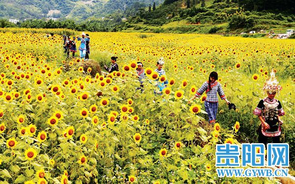 �󲨽�Ƶ��Ϳ�